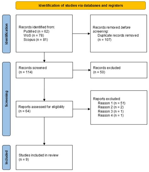 Exploring the Neural Correlates of Visuospatial Memory: A Comprehensive ...