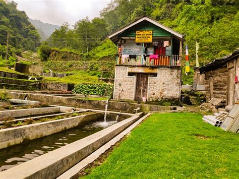 Dentam Tourism (2024): All You Need to Know Before You Go