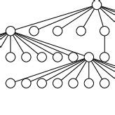 Walker Anderson Model Algorithm 的图像结果