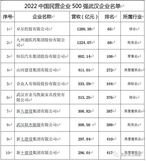 武汉10家企业入围2022中国民营企业500强_人民号