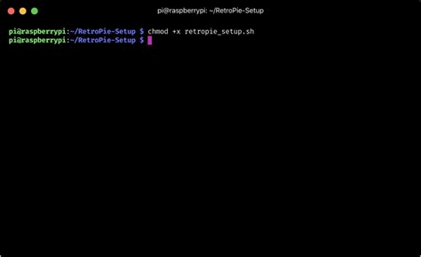 Image result for Raspberry Pi RetroPie
