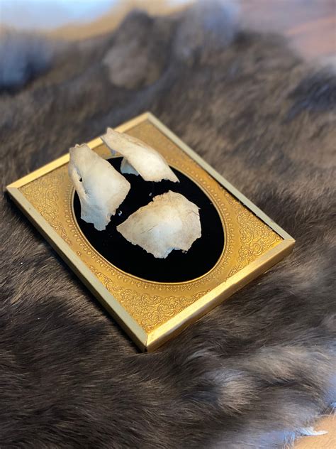 Image result for Exploding Deer Skull