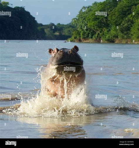 028 km h hi-res stock photography and images - Alamy