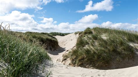 Image result for Computer ROM HD 3D Picture