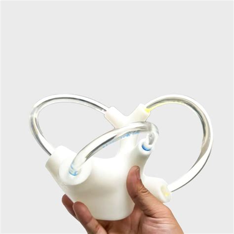DHBEIMEI Human Ear Semicircular Canal Model – 5X Cochlea India | Ubuy