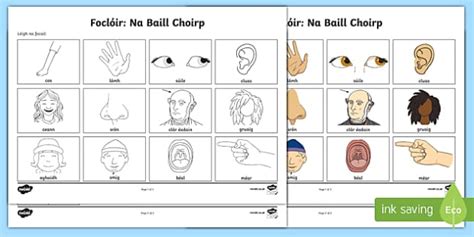 Junior Cycle Parts of the Body Vocabulary Worksheet | Gaeilge