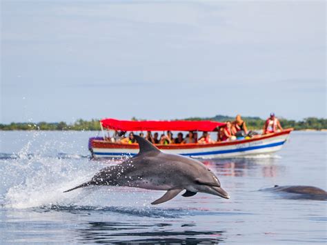 SAN BLAS ADVENTURES (2026) All You Need to Know BEFORE You Go (with ...