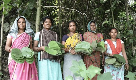Local People of Forest and Wildlife 的图像结果