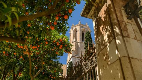 Wallpaper tower, architecture, tree, citrus hd, picture, image