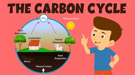 30 Amazing Carbon Facts You Should Not Miss - Facts.net