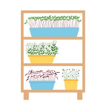 Hand drawn microgreens in pots vector illustration in flat style ...