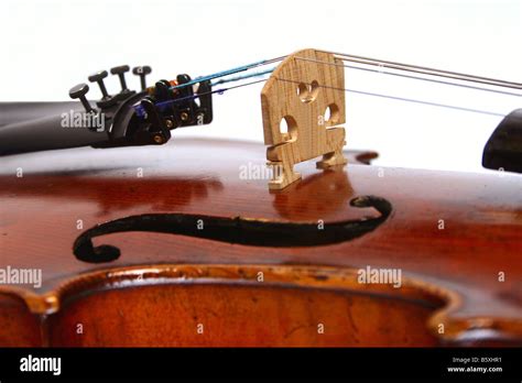 Image result for Classical String Instruments