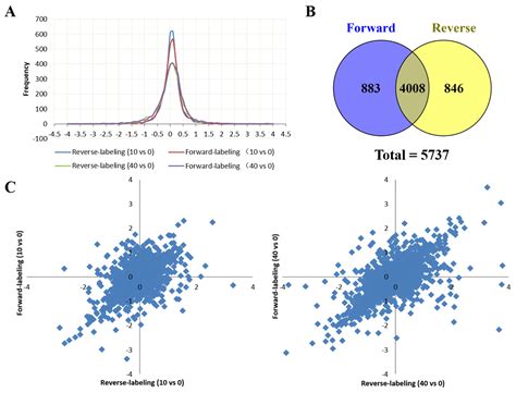 Quantitative Proteomic Profiling of Tachyplesin I Targets in U251 ...