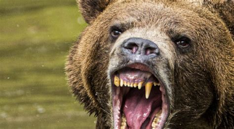 Russian Intelligence Targets Victims Worldwide in Rapid-Fire ...