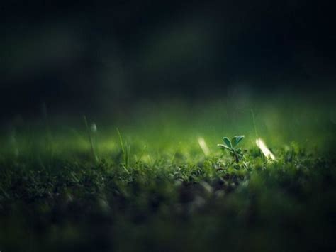 Android Home Screen 的图像结果