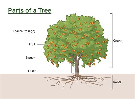 Image result for Tree Structure HTML/CSS