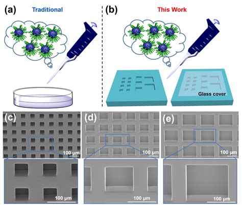 PEGylated Paclitaxel Nanomedicine Meets 3D Confinement: Cytotoxicity ...