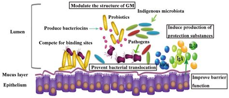 A Review on Gut Remediation of Selected Environmental Contaminants ...