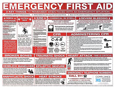 Image result for Basic Emergency First Aid