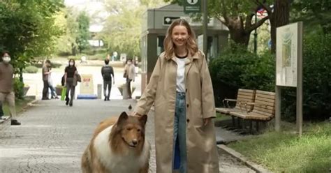 Video: US embassy staff in Australia does the ‘Nutbush’ line dance to ...