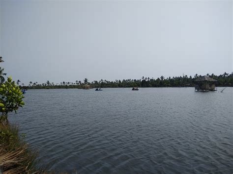 Matsyafed Fish Farm (Vypin Island) - 2019 What to Know Before You Go ...