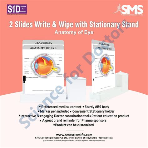 2 Slides Write & Wipe with Stationary Stand - Anatomy of Eye – Science ...