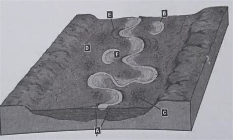 Identify the features formed by a river. - Brainly.in