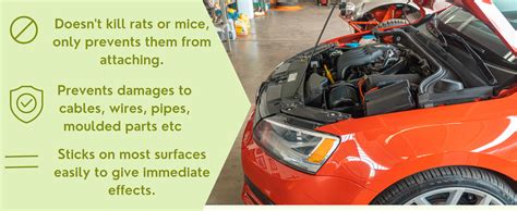 URBA Rat Repellent Spray For Car 5000 ml, Eco Friendly Rat Repellent ...