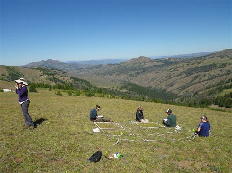 Understanding Dynamic Ecosystems: The Pursuit of the Greater Yellowstone Network (U.S. National ...