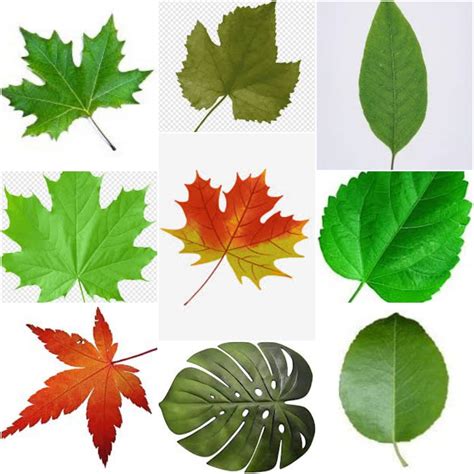 Image result for Single Source Shortest Path Algorithm Difference