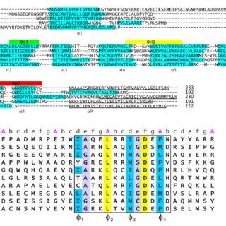 Bcf2 Structure 的图像结果