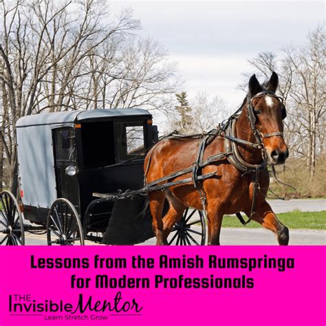 Lessons from the Amish Rumspringa for Modern Professionals