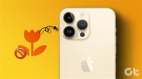 How to Stop iPhone Camera From Switching to Macro Mode Automatically ...