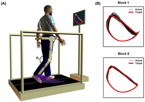 Robotic Training Cycle 的图像结果