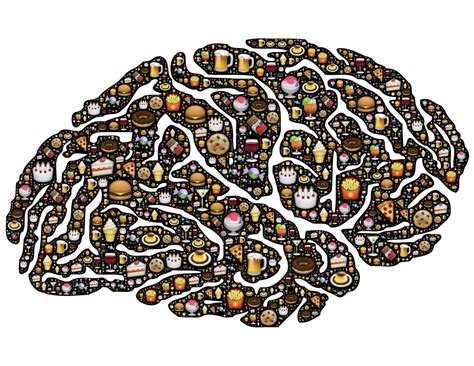 8 Brain Food Snacks to Boost Your Kids Memory - The Lunch MOB