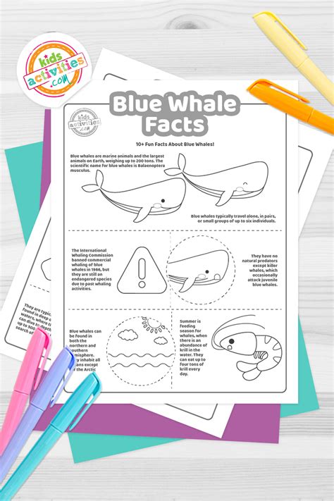 Blue Whale Pictures Facts