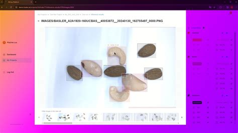 Image result for Pylon Tutorial