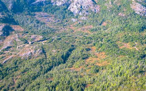 AMBIL SEKARANG