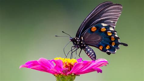 It’s not too late | Condé Nast Traveller India