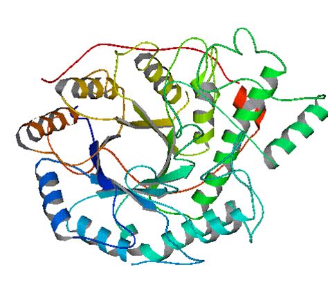 Bildergebnis für amylase