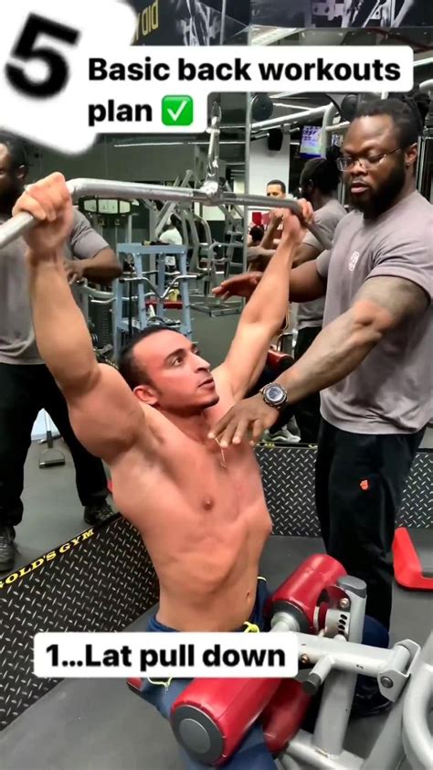 Image result for Basic Back