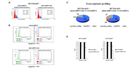 Image result for Gene Expression Control Plant Cells microRNA