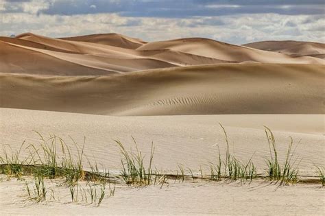 2024 (Ulaanbaatar) Discovery Mongolian Gobi Desert