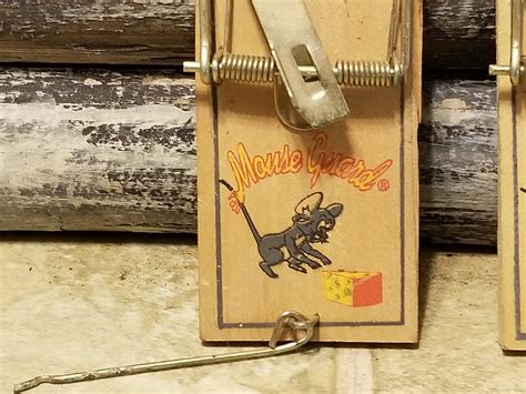 Image result for How to Set Mouse Guard Mouse Trap