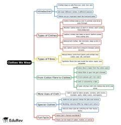 Mind Map: Clothes We Wear - Class 2 PDF Download