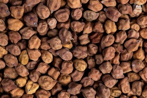 Whole Bengal Gram / Brown Chana / काला चना – OOO Farms