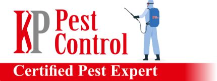 KP Pest Control: Certified Experts in Eradicating Pests