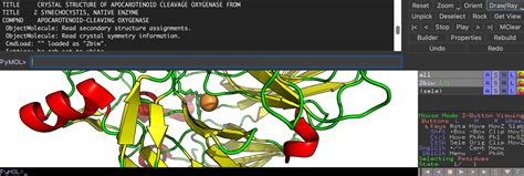 Image result for PyMOL Electrostatic Potential