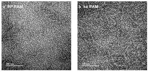 Adjuvant Templating Improves On-Target/Off-Target Antibody Ratio Better ...