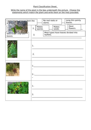 Image result for Classification Worksheet TES KS2